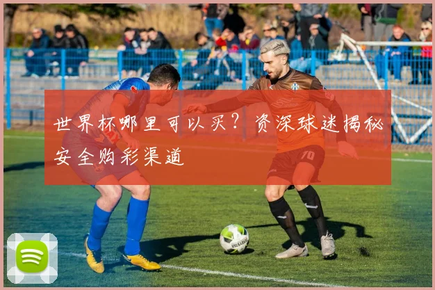 世界杯哪里可以买？资深球迷揭秘安全购彩渠道