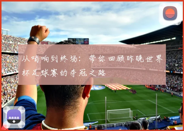 从哨响到终场：带你回顾昨晚世界杯足球赛的夺冠之路