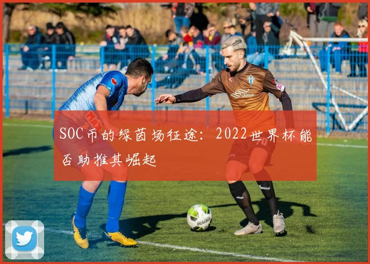 SOC币的绿茵场征途：2022世界杯能否助推其崛起