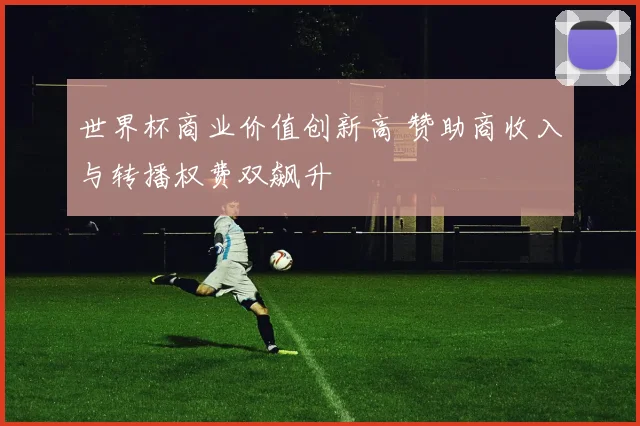 世界杯商业价值创新高 赞助商收入与转播权费双飙升
