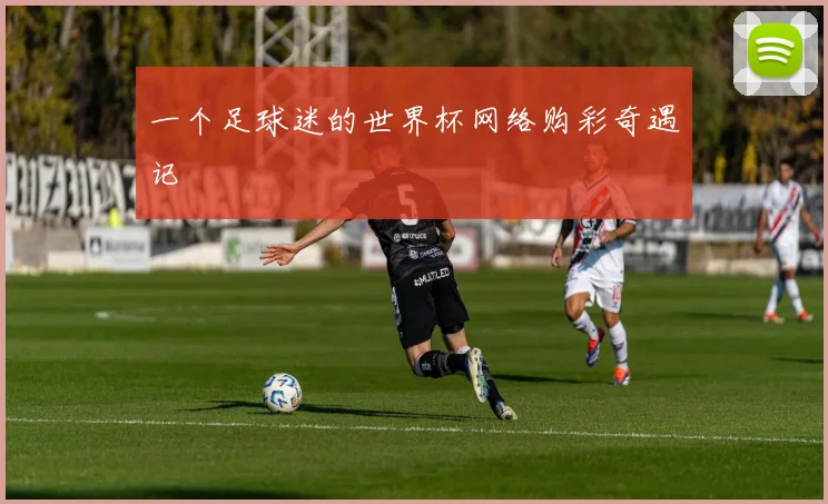 一个足球迷的世界杯网络购彩奇遇记