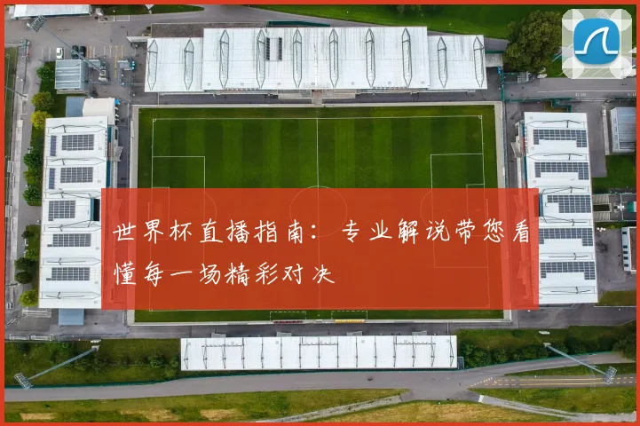世界杯直播指南：专业解说带您看懂每一场精彩对决