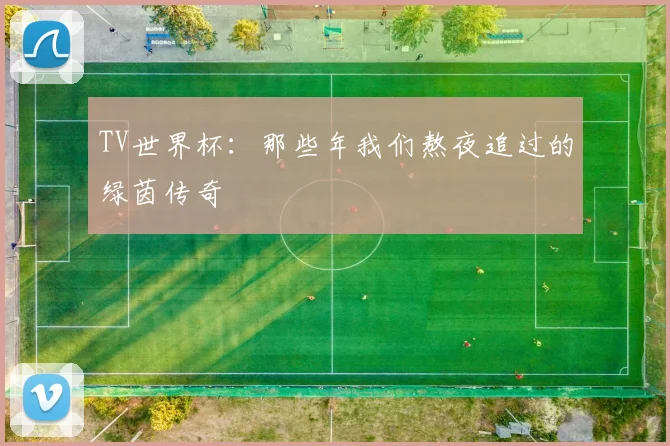 TV世界杯：那些年我们熬夜追过的绿茵传奇