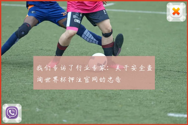 我们专访了行业专家：关于安全查询世界杯押注官网的忠告