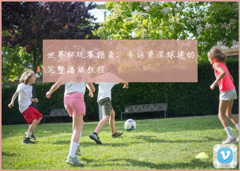 世界杯观赛指南：专访资深球迷的完整播放教程